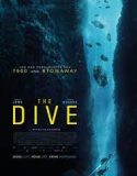 The Dive 2023