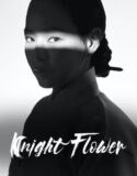 Drama Korea Knight Flower 2024