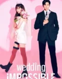 Drama Korea Wedding Impossible 2024