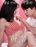 Film Semi Korea Boarder Dangerous Cohabitation 2024