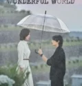 Drama Korea Wonderful World Subtitle Indonesia 2024