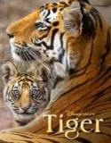 Tiger (2024) Sub Indo